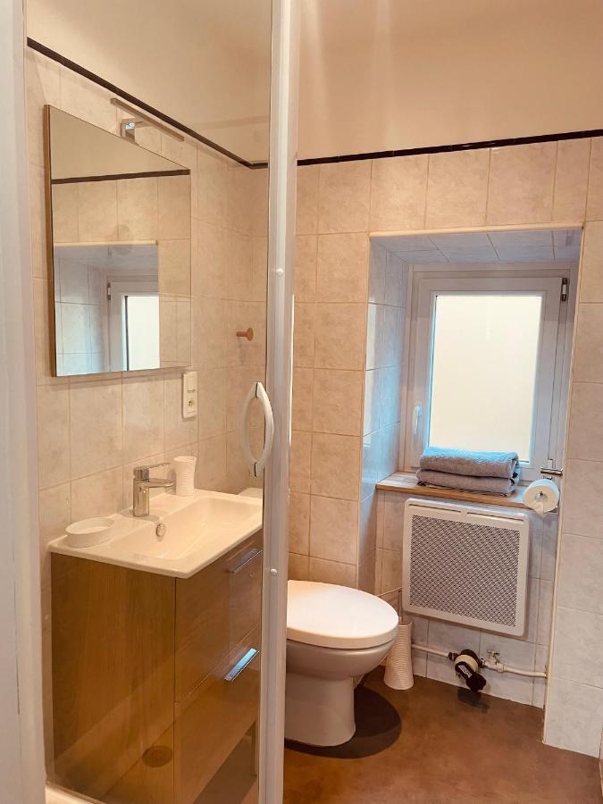 Le Coin Cosy L Balcon Appartement Castres  Buitenkant foto