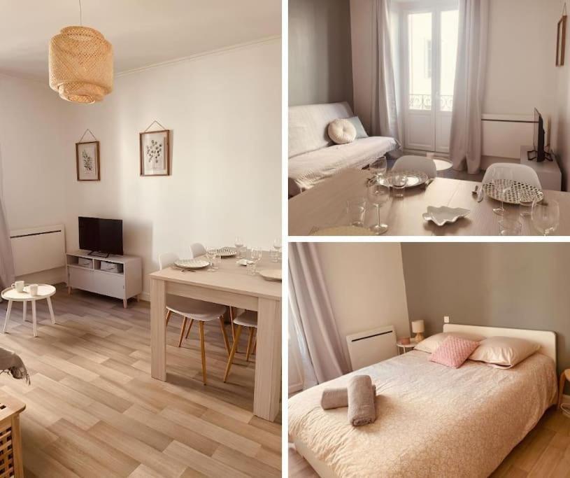 Le Coin Cosy L Balcon Appartement Castres  Buitenkant foto